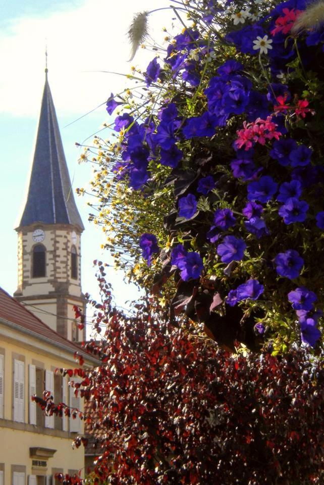 Gite "Le Piemont Des Vosges " Стоцхейм Экстерьер фото